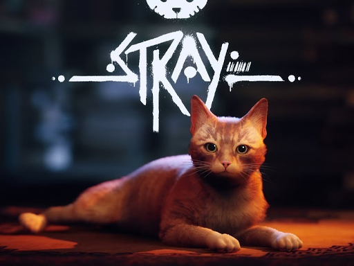 stray